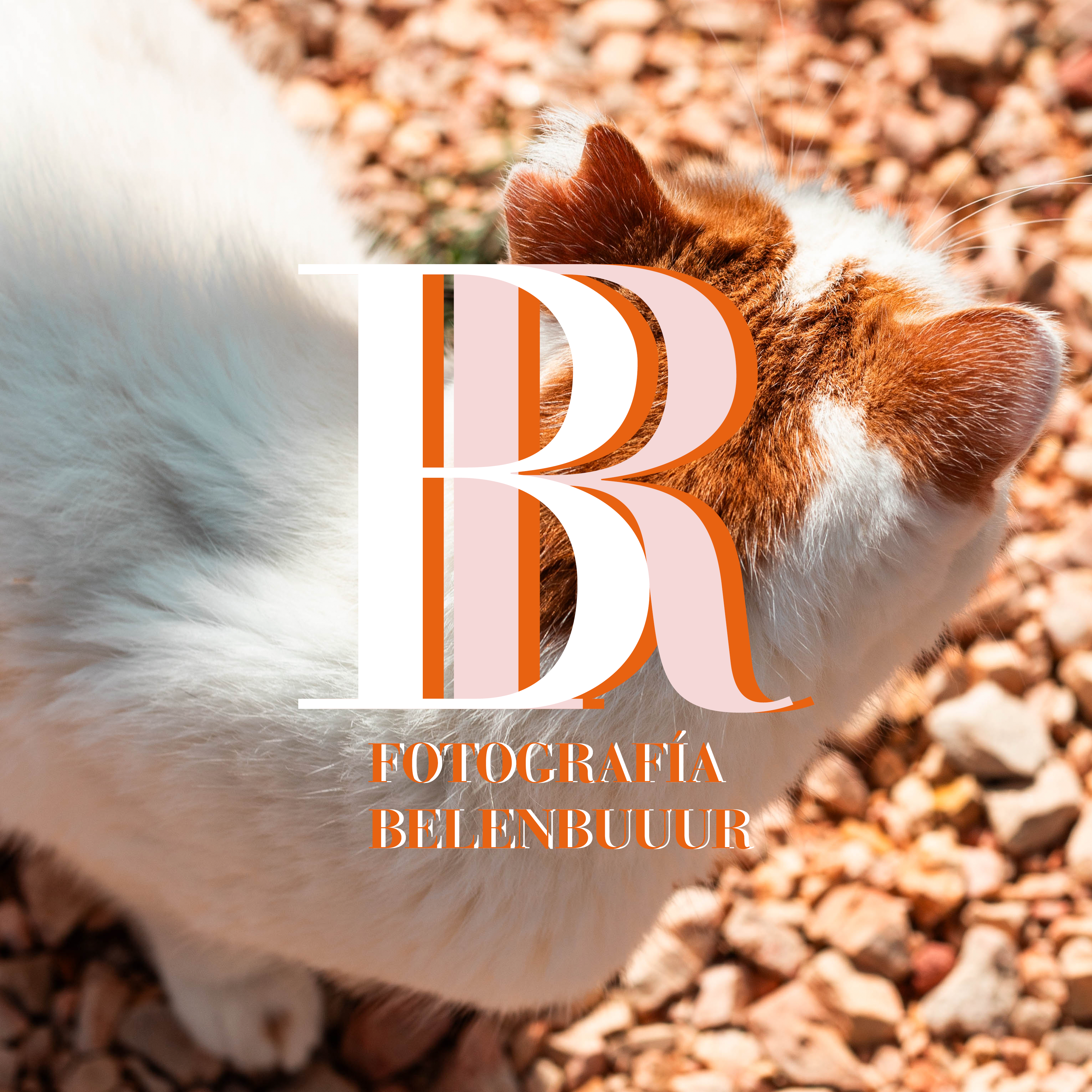 Belenpuuur